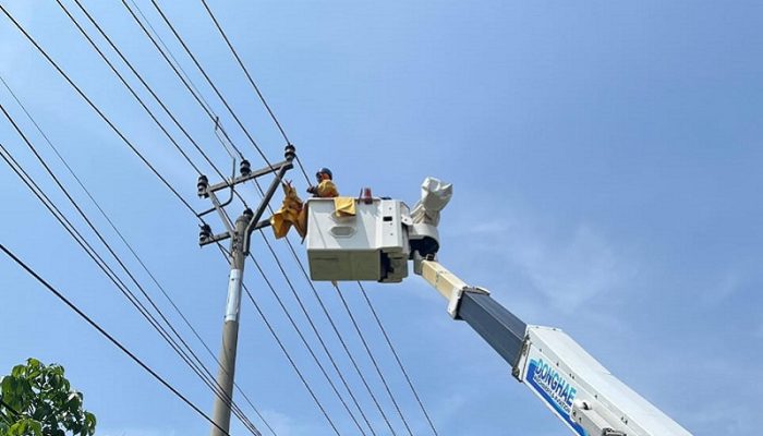 Jelang Natal 2025, PLN Pastikan Listrik Gereja-Gereja di Cianjur Aman dan Andal