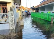 Tanah Indramayu Turun 3-7 Cm per Tahun, IPB Prediksi 16.514 Ha Bakal Terendam 2080