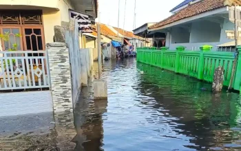 abrasi pantai eretan indramayu tanah turun prediksi terendam 2080 ipb university