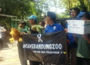 Krisis Pakan, Karyawan Bandung Zoo Galang Dana di Jalanan