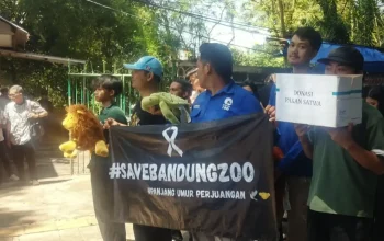 Karyawan Bandung Zoo membentangkan spanduk solidaritas di Jalan Tamansari demi pakan 700 satwa, Jumat (12/12).