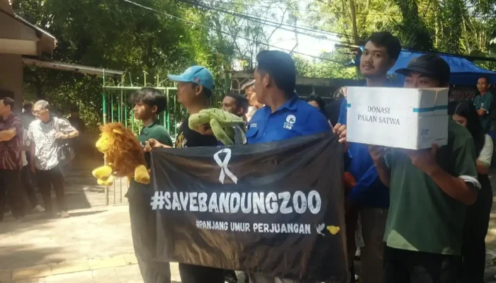Krisis Pakan, Karyawan Bandung Zoo Galang Dana di Jalanan
