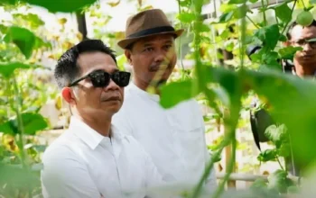 Om Zein sebut 80% melon Pasar Induk Purwakarta dari luar daerah. Ajak petani manfaatkan potensi pasar besar hortikultura lokal.