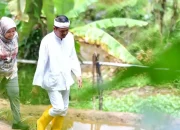 Hutan Jabar Rusak, Dedi Mulyadi Akan Gaji Warga Rp50 Ribu per Hari untuk Tanam Pohon