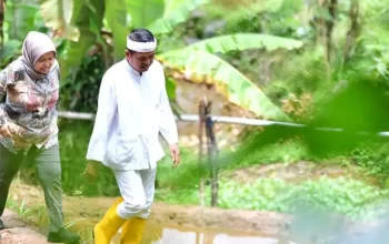 Dedi Mulyadi jelaskan program gaji warga Rp 50.000 untuk tanam pohon di hutan Jabar.