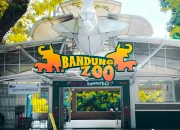 Bandung Zoo Dinilai Tak Perlu Galang Dana, YMT Klaim Punya Rp7,3 Miliar