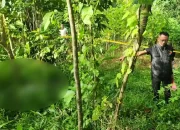 Geger! Mayat Pria Membusuk Bawa Golok Ditemukan di Purwakarta