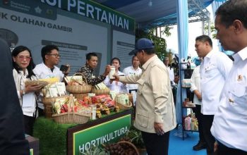 Menteri Pertanian Andi Amran Sulaiman