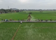 Bukan Sekadar Alam, Ini Konsep Unik 7 Desa Wisata Baru di Subang