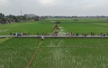 Bukan Sekadar Alam, Ini Konsep Unik 7 Desa Wisata Baru di Subang