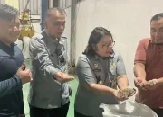 Tembus Pasar Global, Kopi Robusta Subang Kini Buru Sertifikat Indikasi Geografis