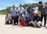 DPRD Jabar Desak Perbaikan Listrik Konservasi Penyu Pangumbahan Sukabumi