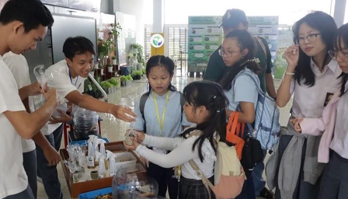 Aloysius Fest 2026 Hari Kedua: Festival Bermain dan Organic NANO Enzyme Tegaskan Pendidikan Berkelanjutan