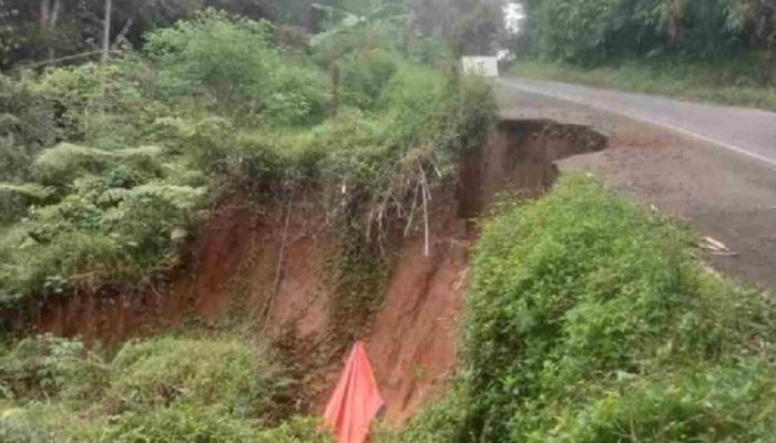Jalan Penghubung Sadananya-Kawali di Cipaku Ciamis Terancam Putus Akibat Longsor
