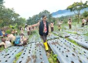 Herman Suryatman Targetkan Penamaman Pohon 100 Hektare di Situ Cisanti