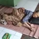 Ma Ecih lansia Purwakarta korban penyelewengan dana bansos BPNT oknum e - warung