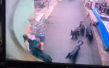 Petugas Pemkot Bandung observasi anjing penyerang bocah di Warung Muncang