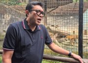 Instruksikan Galang Donasi, Ono Surono: Megawati Perintahkan PDIP Jabar Selamatkan Satwa Bandung Zoo