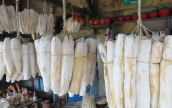 Manfaat Peuyeum Bendul tape singkong khas Purwakarta bagi Kesehatan dan Tubuh