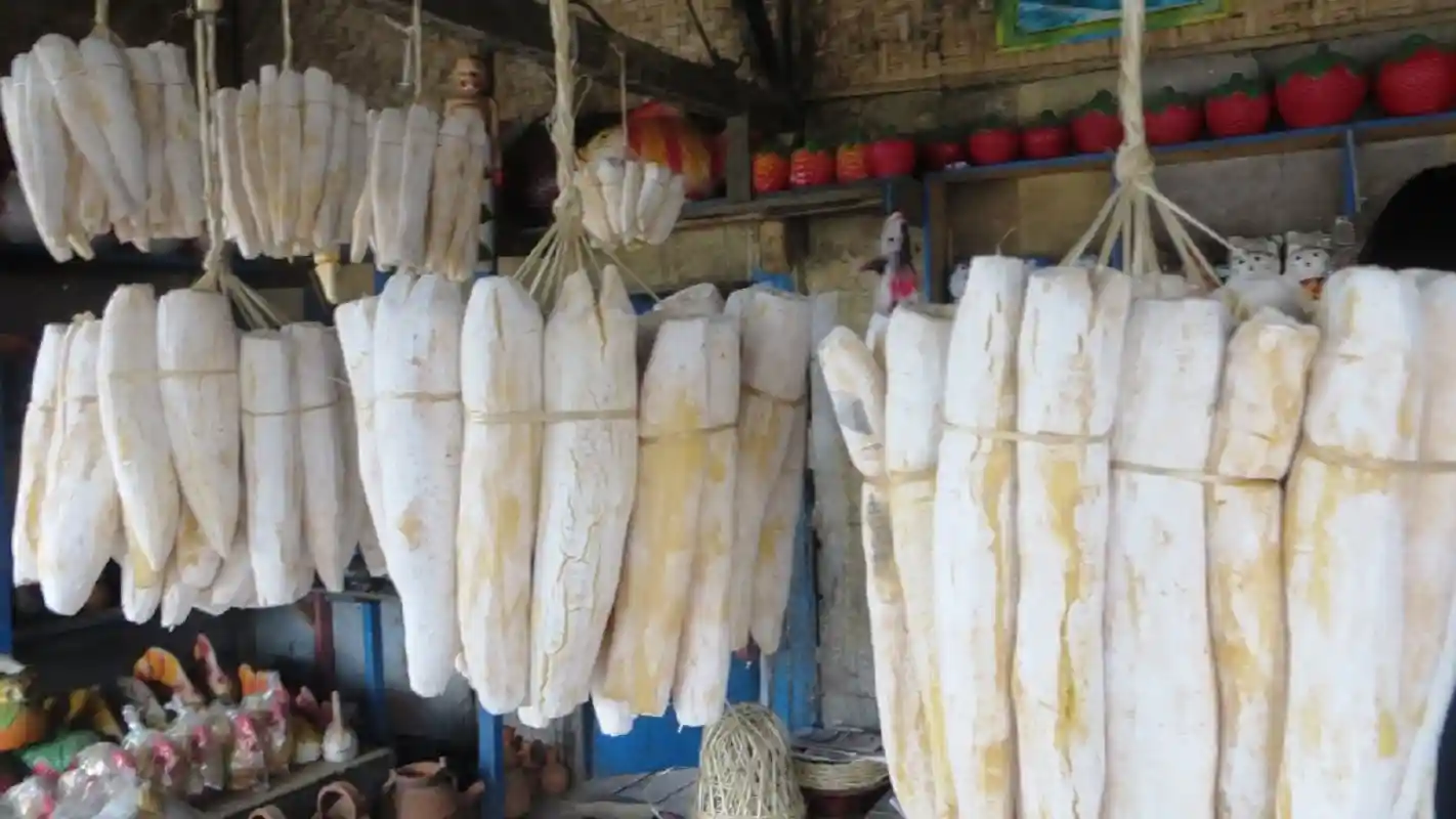 Manfaat Peuyeum Bendul tape singkong khas Purwakarta bagi Kesehatan dan Tubuh