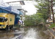31 Pohon Tumbang, Ada 34 Kejadian Darurat Terjadi dalam Satu Jam di Kota Bandung
