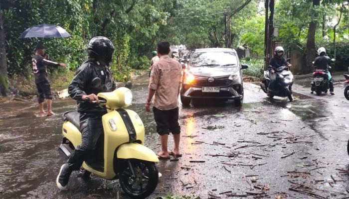 Mitigasi Lemah di Tengah Cuaca Ekstrem, Bandung Dilanda 31 Pohon Tumbang dan Ancaman Reklame Roboh