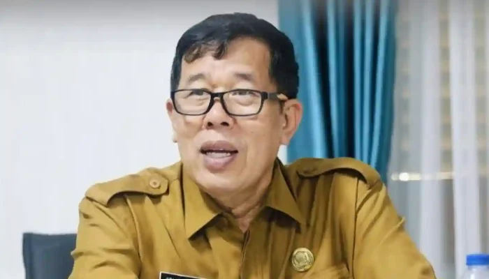 Purwakarta Krisis Keuangan, 10 Perusahaan Ini Masuk Catatan Merah BPK